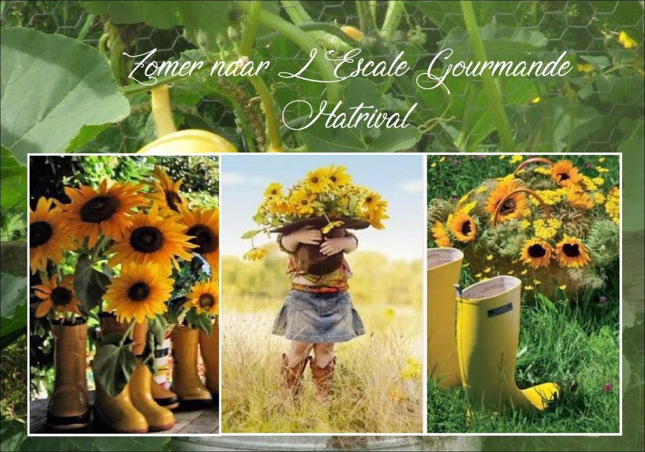 L'Escale Gourmande Villa Hatrival Luaran gambar