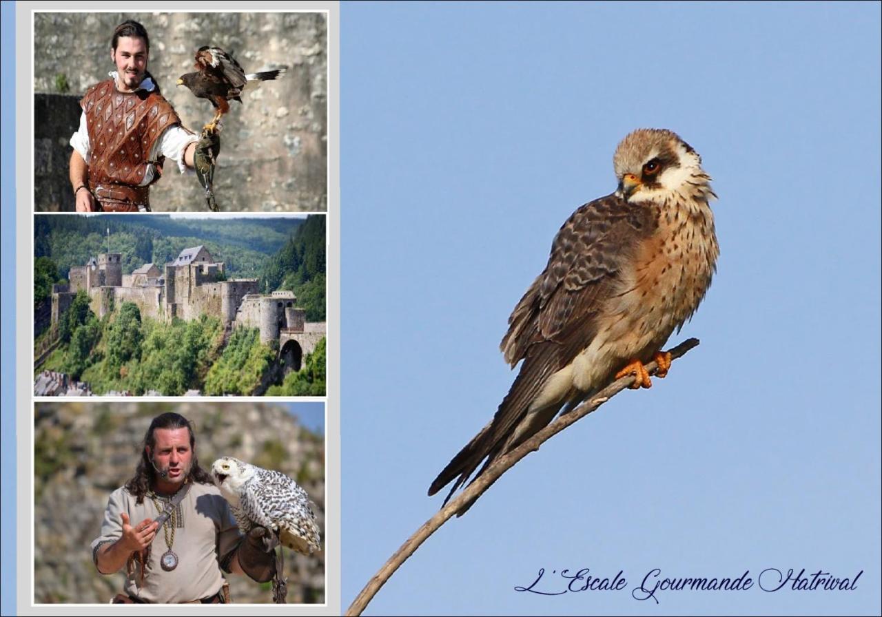 L'Escale Gourmande Villa Hatrival Luaran gambar
