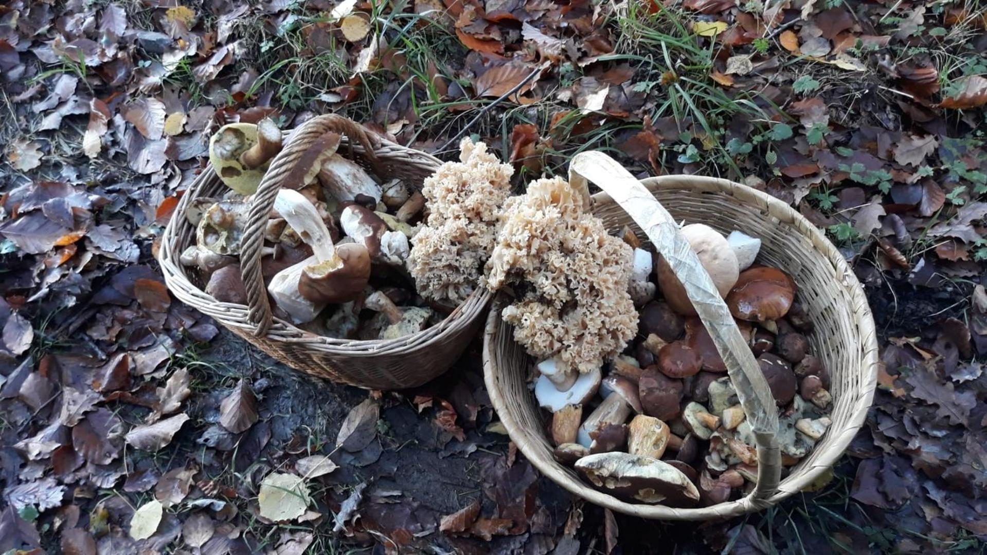 L'Escale Gourmande Villa Hatrival Luaran gambar
